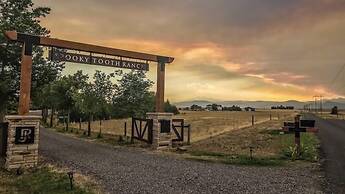Llama-stay at Spooky Tooth Ranch – Mtn Views!!