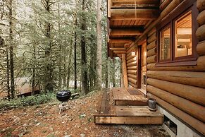 81sl - Hot Tub - Wifi - Pets Ok 2 Bedroom Cabin by Redawning