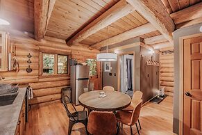 81sl - Hot Tub - Wifi - Pets Ok 2 Bedroom Cabin by Redawning