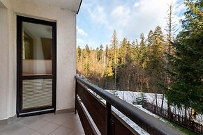 Mountain View Czajki by Renters