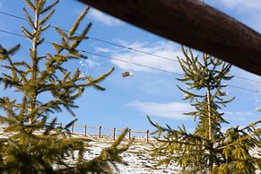 Mountain View Czajki by Renters