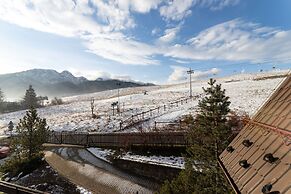 Mountain View Czajki by Renters