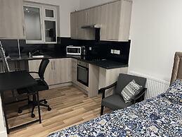 Entire Studio apartment - London