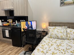 Entire Studio apartment - London