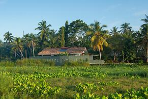 Romantic Honeymoon Villa Overlooking Rice Fields