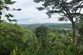 08 Acre Private Tea Estate Close To Galle