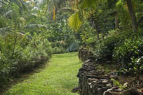08 Acre Private Tea Estate Close To Galle