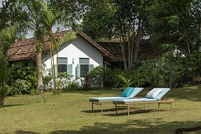 08 Acre Private Tea Estate Close To Galle