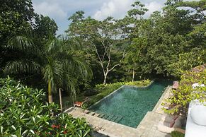 08 Acre Private Tea Estate Close To Galle