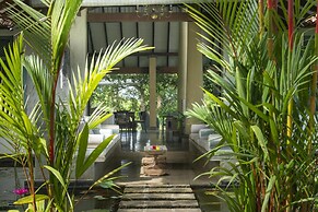 08 Acre Private Tea Estate Close To Galle