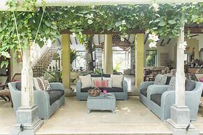 08 Acre Private Tea Estate Close To Galle