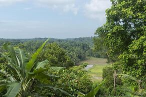 08 Acre Private Tea Estate Close To Galle