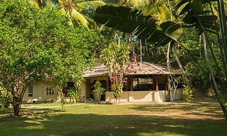 Modern Luxury 03 Bedroom Villa