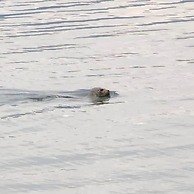 GLOBALSTAY. Paradise Marina Place