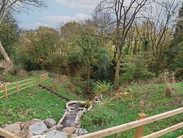 Fron Haul - Robin Goch