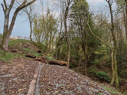 Fron Haul - Robin Goch