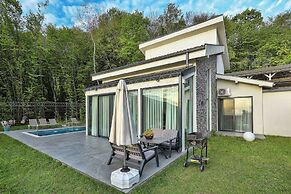 New Balturk Villas Sapanca