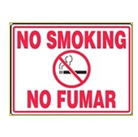 Carolina en Alicante