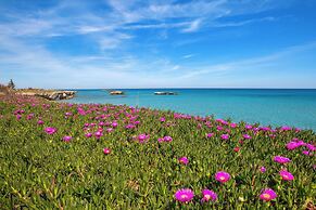 2938 Palma Residence- Appartamento Zephyrus by Barbarhouse