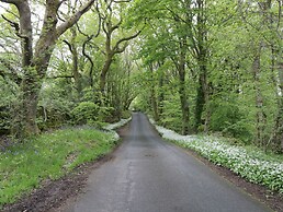 Marsh Garth