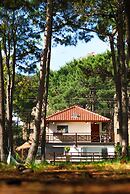 suites del bosque