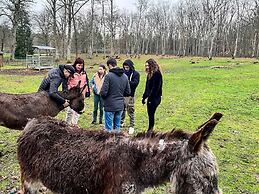 VVF Nature Parc Sologne Berry, Neuvy sur Barangeon