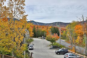 Fall Line Condos by Killington VR - 3 Bedrooms