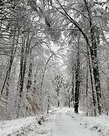 Forest Mountain Escape: Beautiful Mountaintop Escape In Mendon, Vt. 20