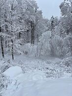 Forest Mountain Escape: Beautiful Mountaintop Escape In Mendon, Vt. 20