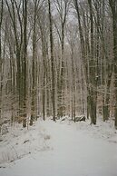 Forest Mountain Escape: Beautiful Mountaintop Escape In Mendon, Vt. 20