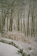 Forest Mountain Escape: Beautiful Mountaintop Escape In Mendon, Vt. 20