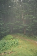 Forest Mountain Escape: Beautiful Mountaintop Escape In Mendon, Vt. 20