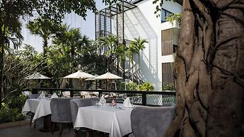 Shintana Saya La Maison