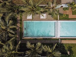 Shintana Saya La Maison