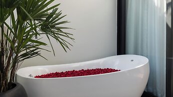 Shintana Saya La Maison