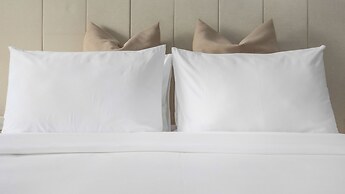 Shintana Saya La Maison