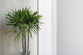 Shintana Saya La Maison