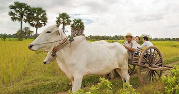Shintana Saya La Maison