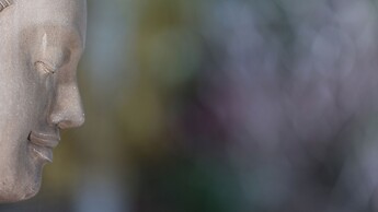 Shintana Saya La Maison