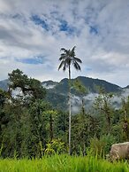 Sendero de las aves