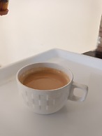 Jungle Corbett Castle