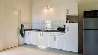 Dream of the Green Flamingo