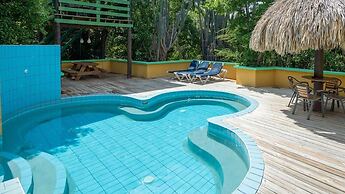 Dream of the Green Flamingo