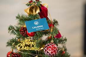 Calidum Phu Quoc Hotel