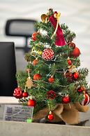 Calidum Phu Quoc Hotel