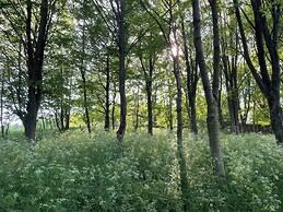 Pudding Hill Barn Cottage