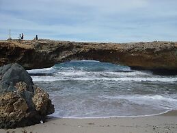 1-bed Self Contained Apartment in Noord With Pool