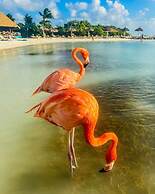 1-bed Self Contained Apartment in Noord With Pool