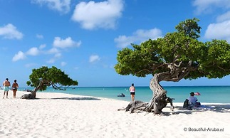 1-bed Self Contained Apartment in Noord With Pool