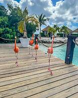 1-bed Self Contained Apartment in Noord With Pool